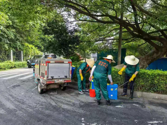 后勤物業管理服務中心集中開展蚊蟲孳生地消殺行動