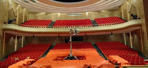 蜘蛛車租賃服務