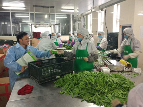 商旅守歲人 一份鮮蔬的超市之旅