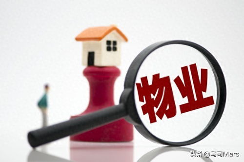 業(yè)主物業(yè)使用人應(yīng)履行哪些職責(zé) 今日頭條