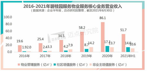 碧桂園服務(wù)：新物業(yè)時(shí)代下的品牌三甲引領(lǐng)者